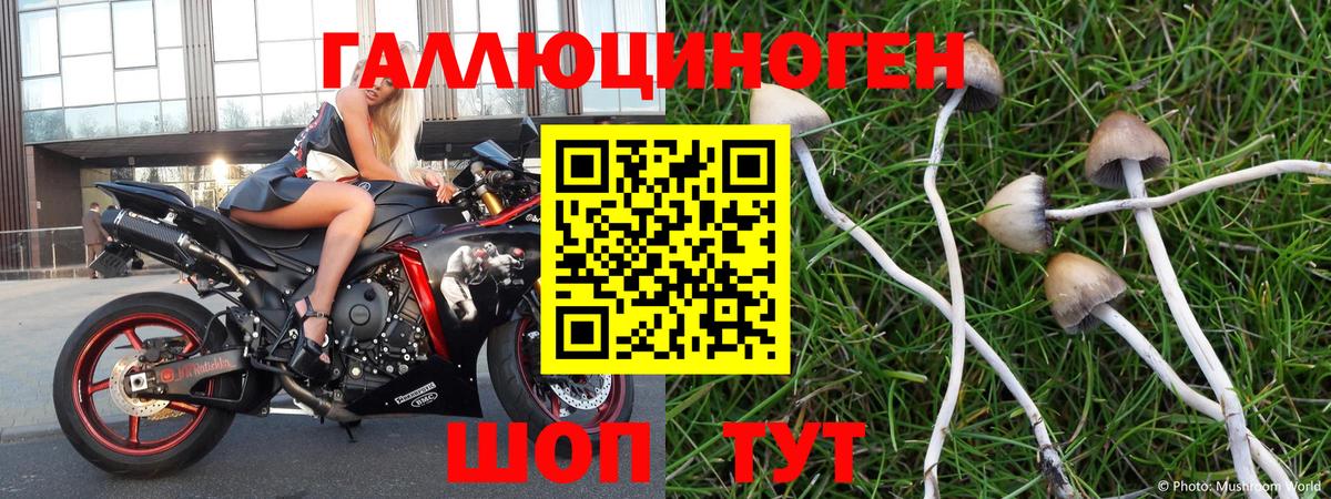 Ирбит  Галлюциногенные грибы MAGIC MUSHROOMS  Вход с VPN 
